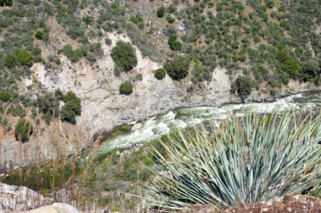 amazing scenery as we drove through Kings Canyon
