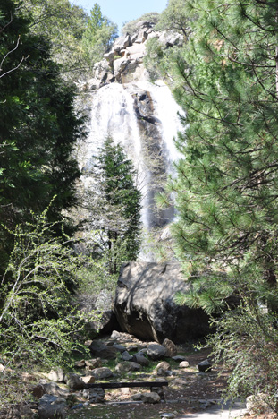 Grizzly Falls