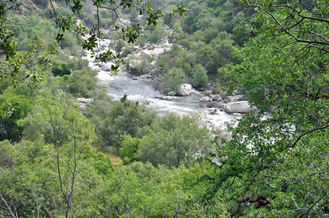 RIVER BY THE ENTRANCE