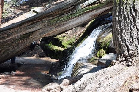 a small stream of water