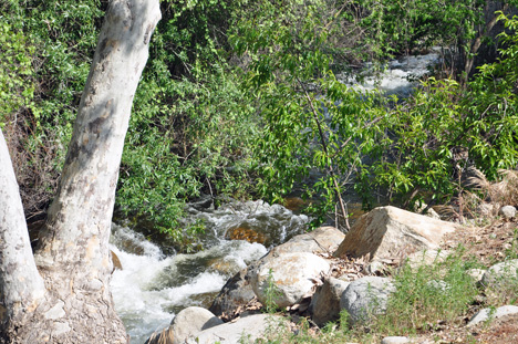 both of the rivers