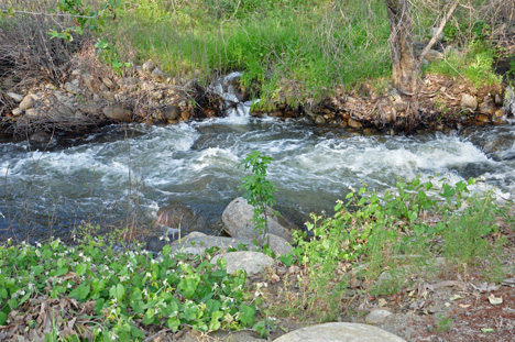 the river directly in front of our RV