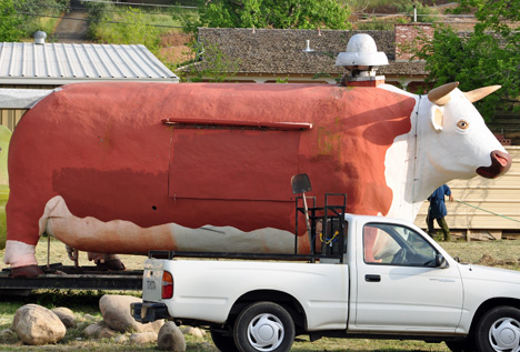 a cow BBQ Roaster