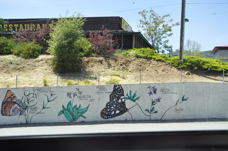 butterflies painted on wall