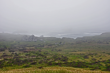 foggy view of the Pacific ocean