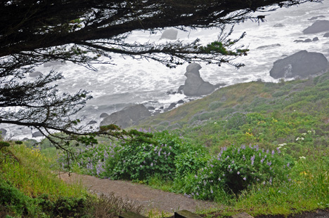 The first view of Shell Beach from the parking area