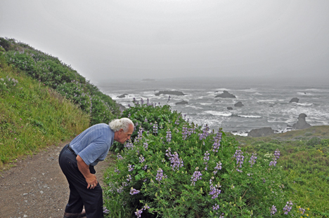 Lee stops to smell the flowers