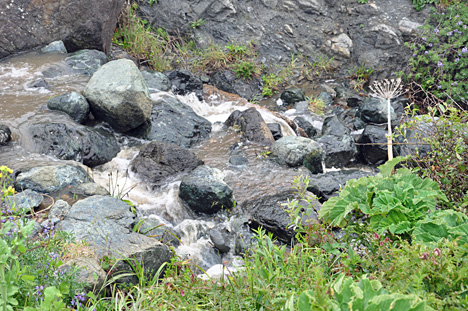 rocks and a small stream to the left of the path down