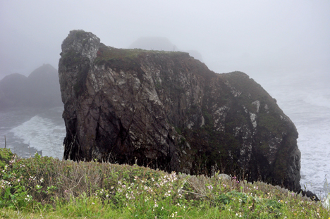 Two birds on the rock and a rip-roaring Pacific Ocean