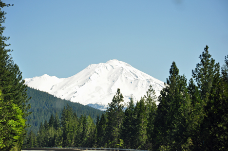 Mount Shasta