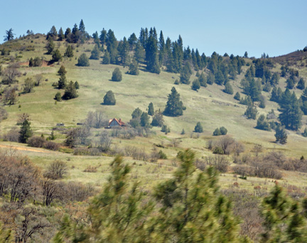house on a hill