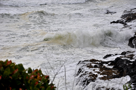 waves