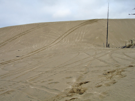 sand dunes