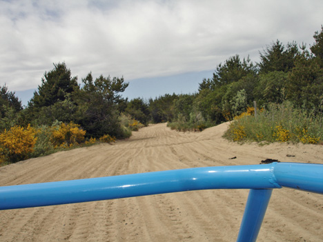 path to the beach
