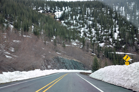 snow by the road