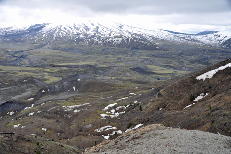 overview