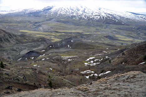 overview