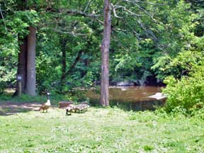 view from the two RV Gypsies yard