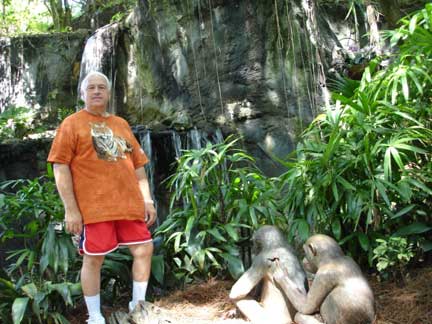 Lee Duquette and baby gorillas