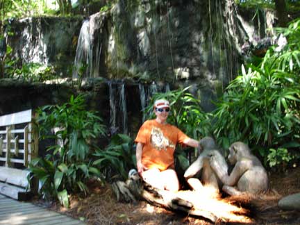 Karen Lee Duquette and baby gorillas