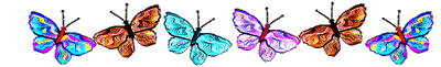 butterflies divider bar