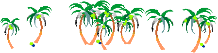 palm tree divider bar
